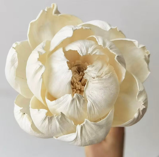 5.5 inch Reed Flower