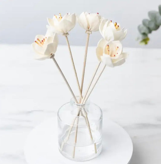 Reed Flower Set of 3