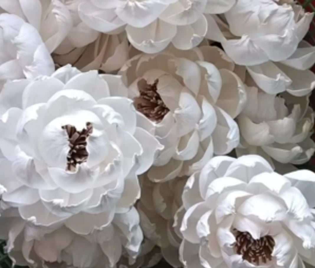 5.5 inch Reed Flower